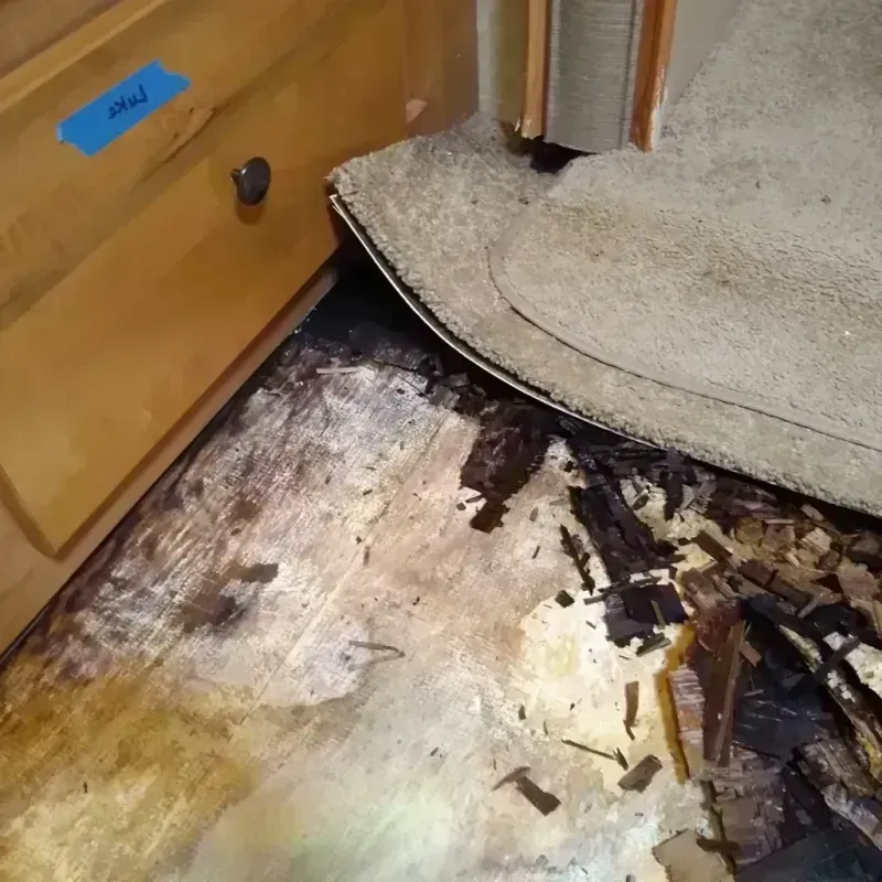 Wood Floor Water Damage in Craig County, VA